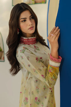 Shirt Shalwar - 0101