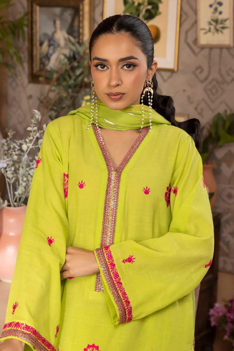 Embroidered Shirt Shalwar Dupatta - 1131